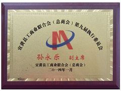 Vice president of Yihuang County Federation of industry and Commerce (General Chamber of Commerce)