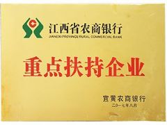Key supporting enterprises